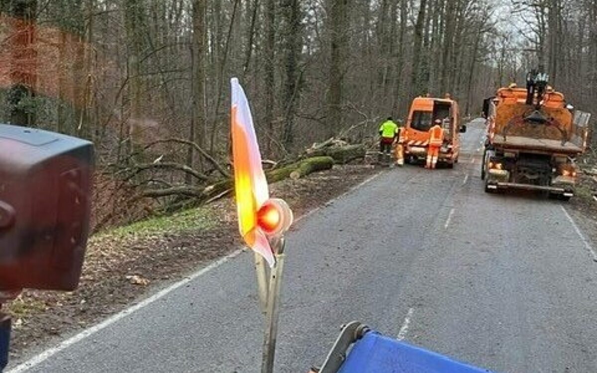 140323 Ab Sturmschaeden 140323 Ab Sturmschaeden