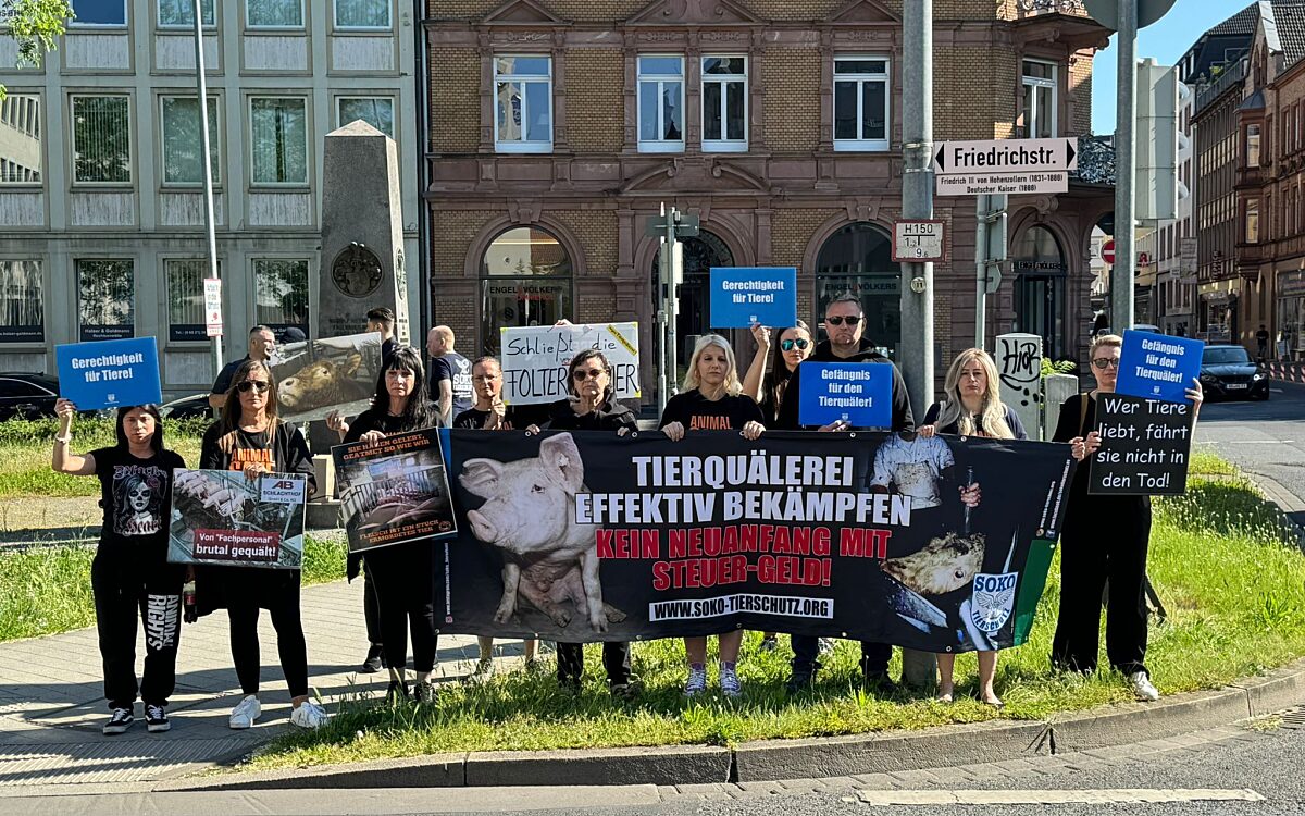 140524 AB Schlachthof Prozess Protest 140524 AB Schlachthof Prozess Protest