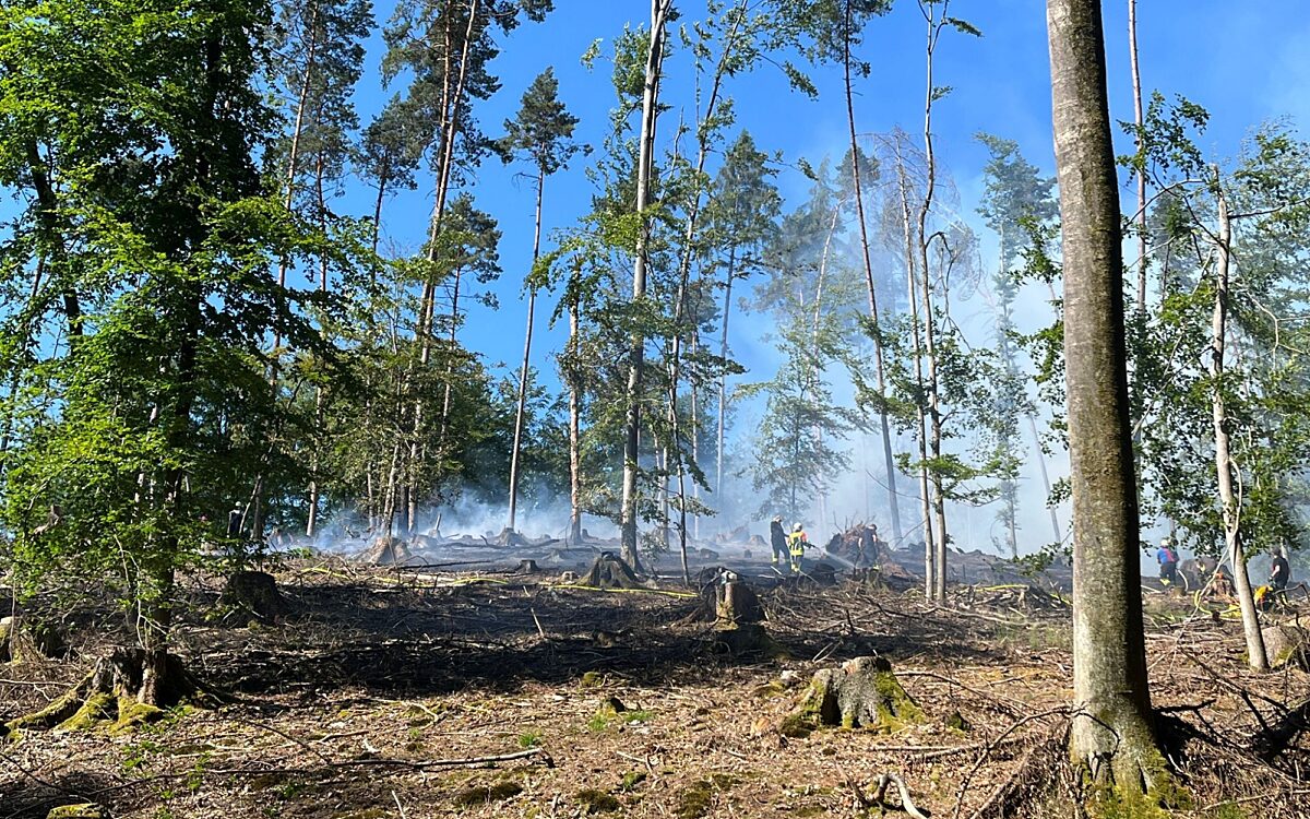 140623 Heimbuchenthal Hobbach Waldbrand 1 140623 Heimbuchenthal Hobbach Waldbrand 1