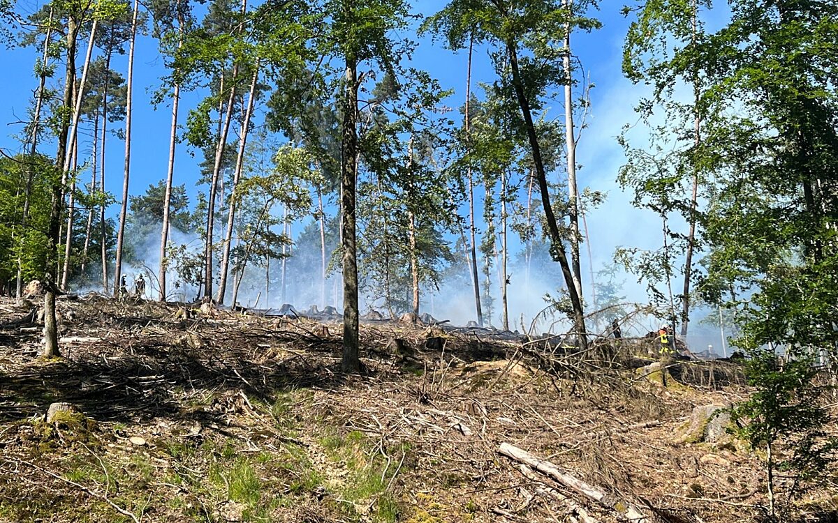 140623 Heimbuchenthal Hobbach Waldbrand 4 140623 Heimbuchenthal Hobbach Waldbrand 4