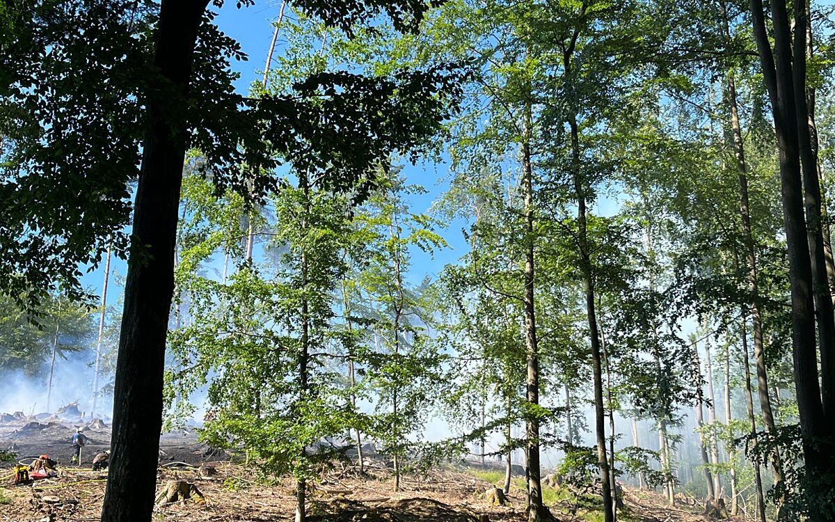 140623 Heimbuchenthal Hobbach Waldbrand 5 140623 Heimbuchenthal Hobbach Waldbrand 5