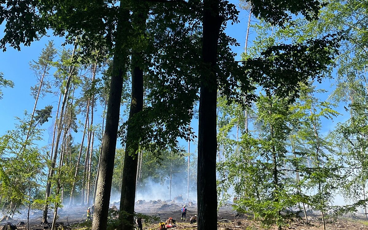140623 Heimbuchenthal Hobbach Waldbrand 6 140623 Heimbuchenthal Hobbach Waldbrand 6
