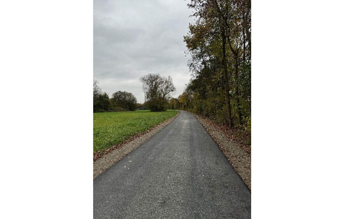 141124 Mainaschaff Mainradweg 141124 Mainaschaff Mainradweg