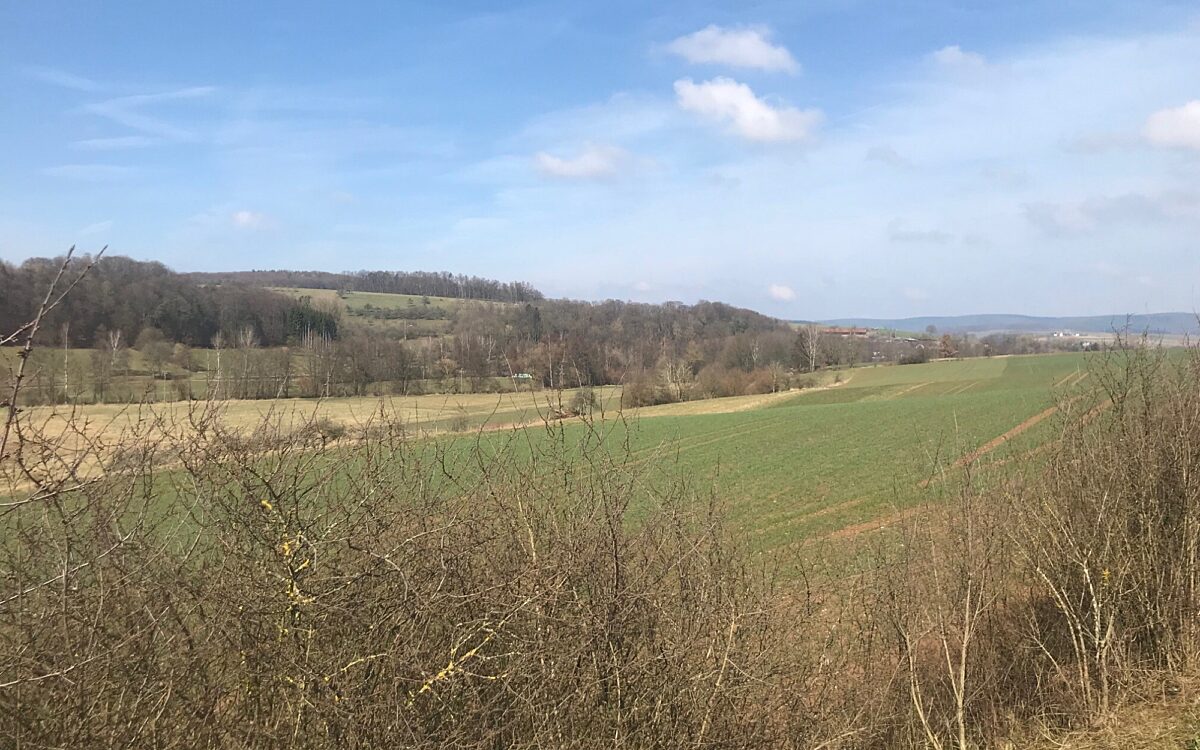 160322 Blankenbach Aue 160322 Blankenbach Aue