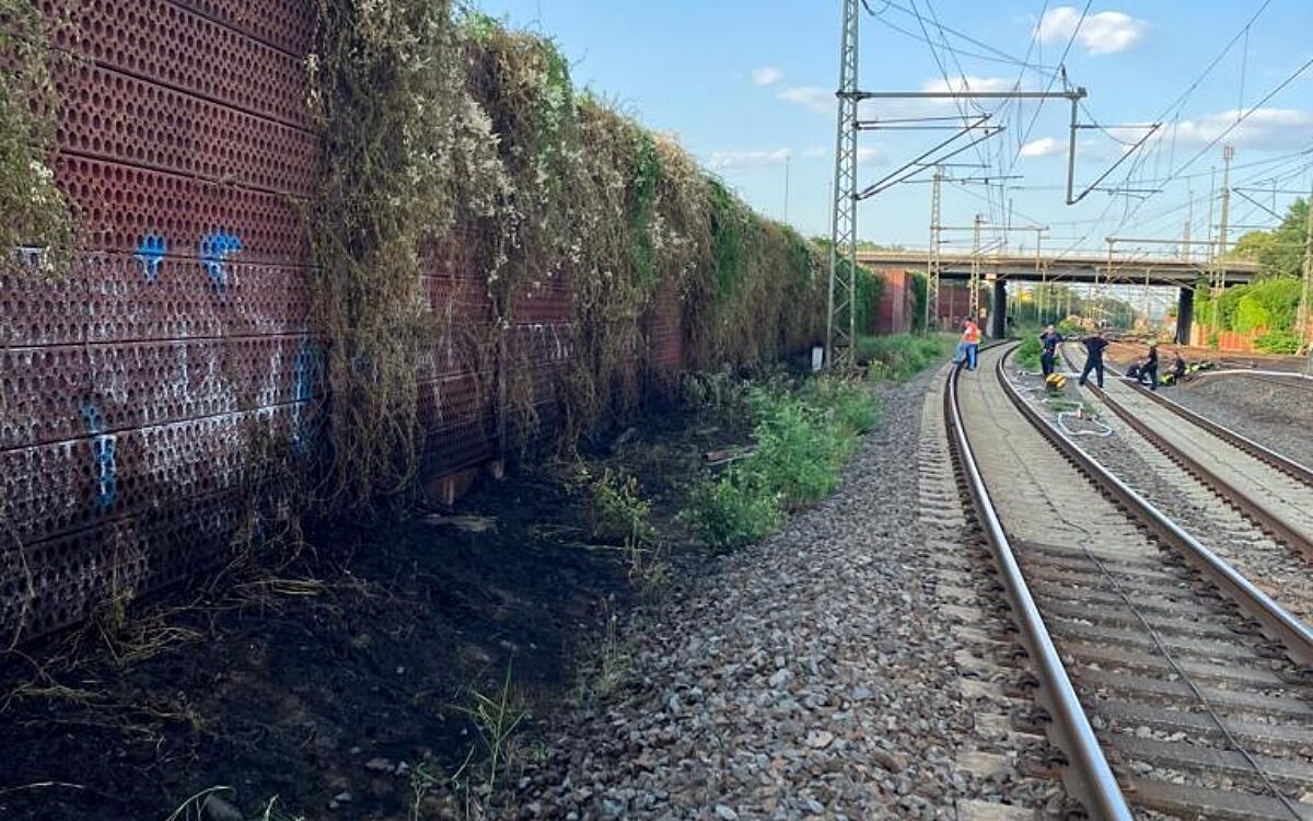 160623 HU Wolfgang Boeschungsbrand Quelle Feuerwehr Hanau 6 160623 HU Wolfgang Boeschungsbrand Quelle Feuerwehr Hanau 6