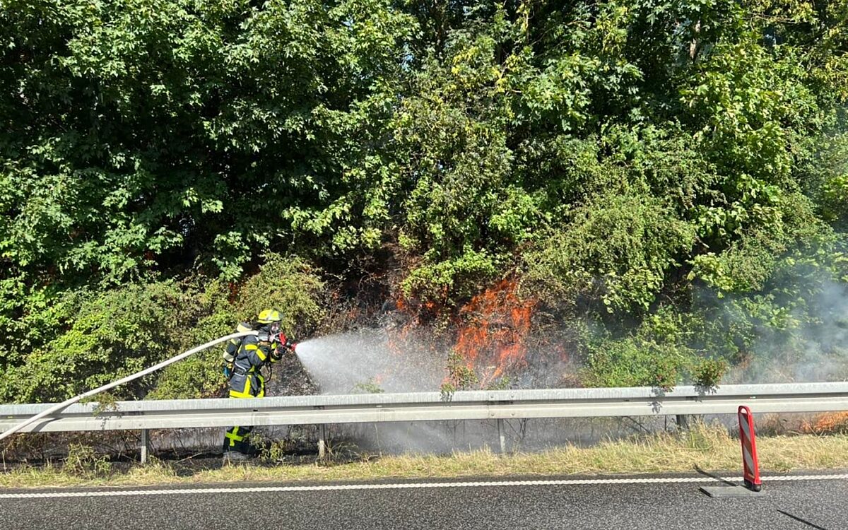 160722 HU PKW Brand 2 160722 HU PKW Brand 2