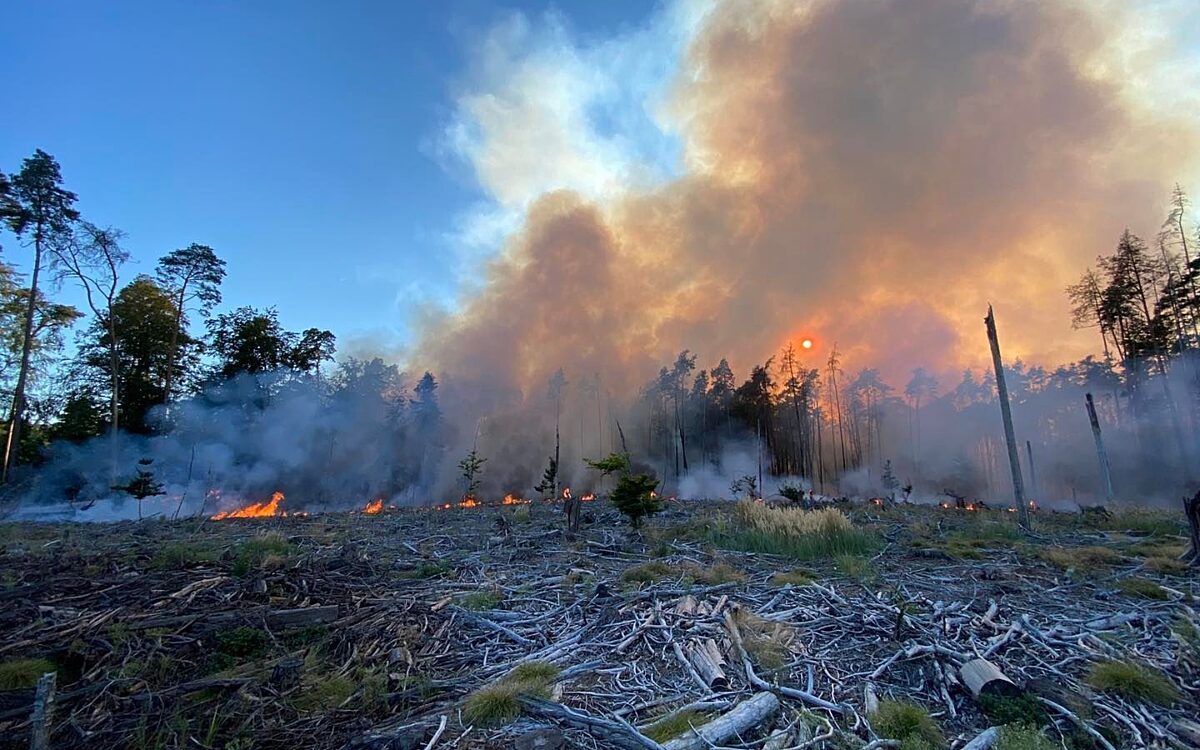 160822 Muenster Waldbrand FW Dieburg 160822 Muenster Waldbrand FW Dieburg