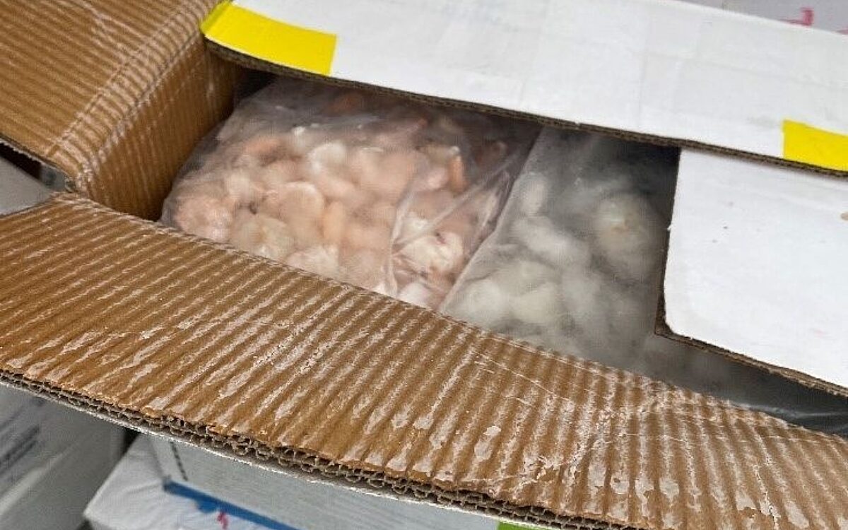 170423 Hanau Ekelfund Ju S 170423 Hanau Ekelfund Ju S