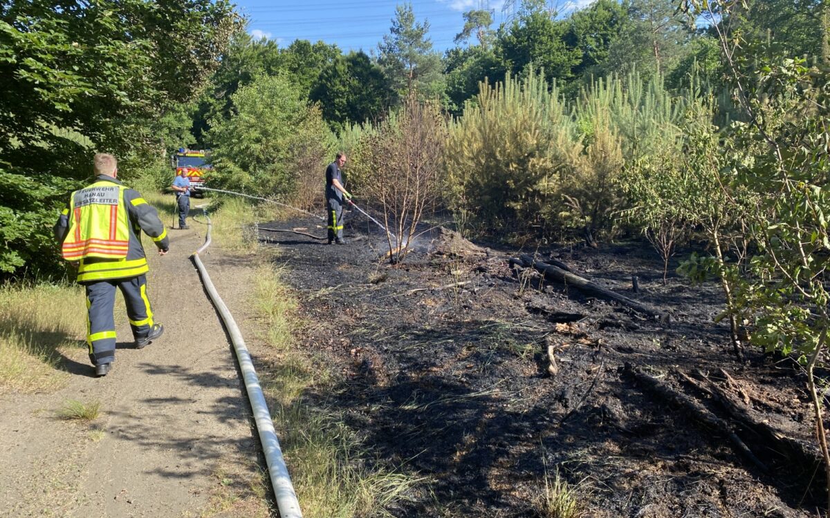 170622 Hanau Waldbrand 170622 Hanau Waldbrand