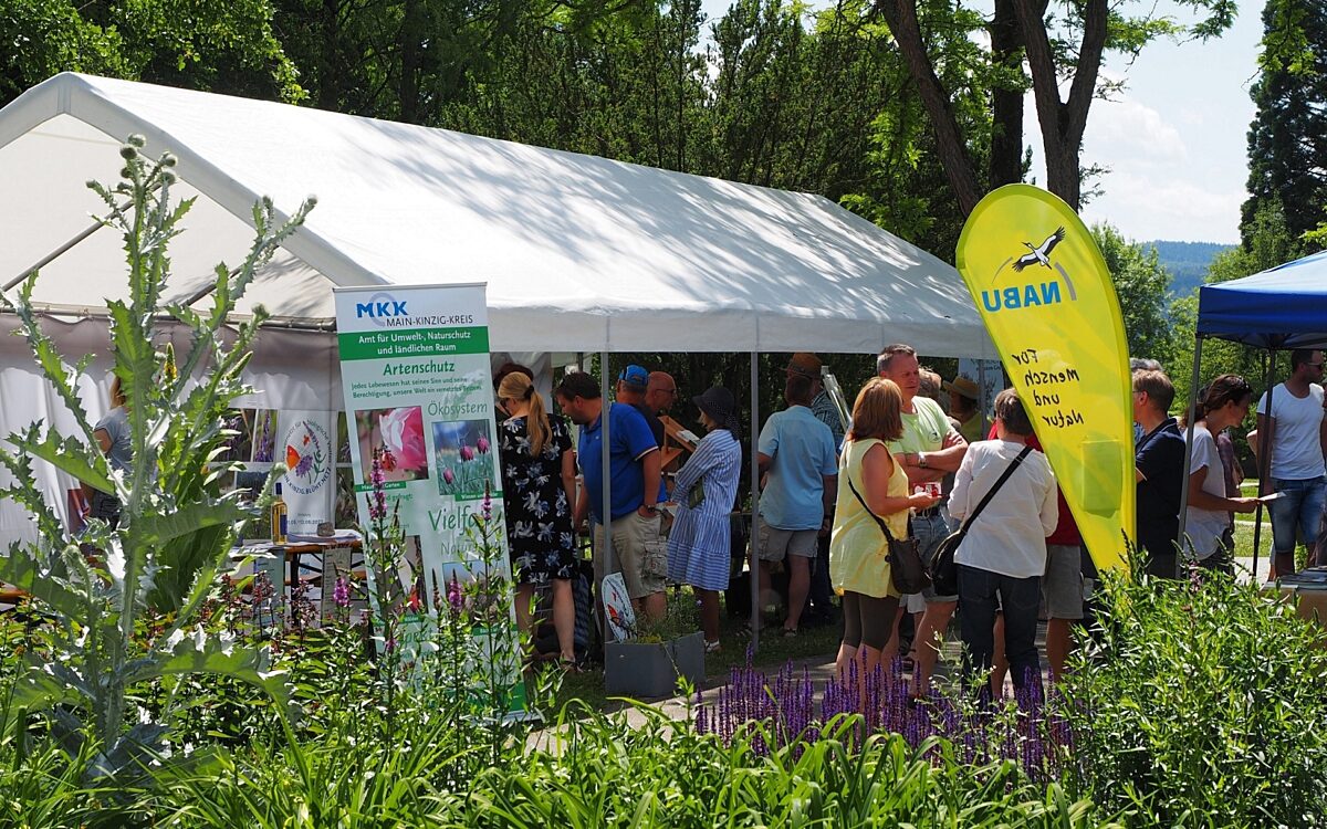 170622 MKK Blueht Fest 170622 MKK Blueht Fest