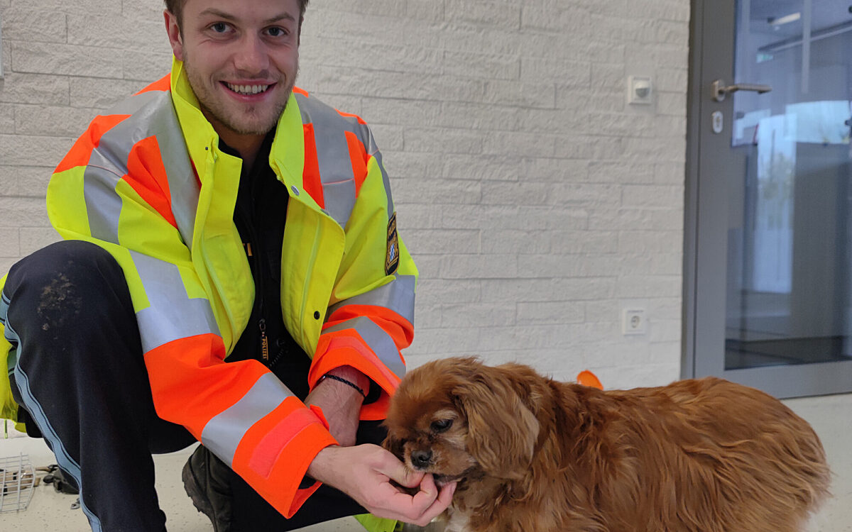 171122 PPUFR Pressebericht Untermain Unfall A3 Bild 1 171122 PPUFR Pressebericht Untermain Unfall A3 Bild 1