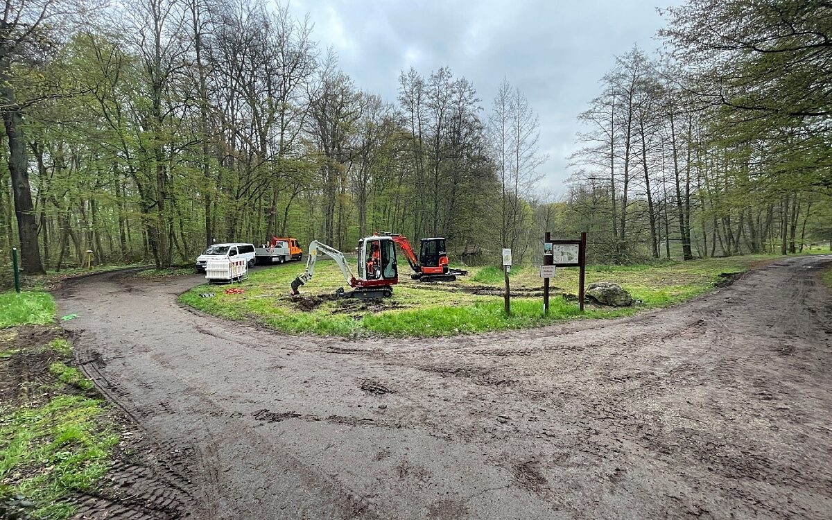 180423 AB Stromleitung Fasaneriesee Foto Thomas Weissenborn 180423 AB Stromleitung Fasaneriesee Foto Thomas Weissenborn