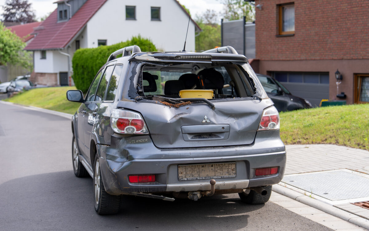 180526 Brachttal Jungbulle ausgebuext