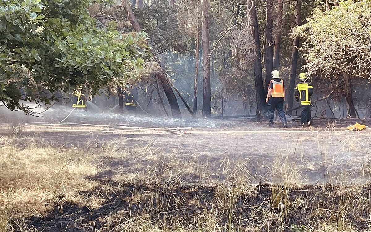 180622 Hanau Waldbrand 1 180622 Hanau Waldbrand 1