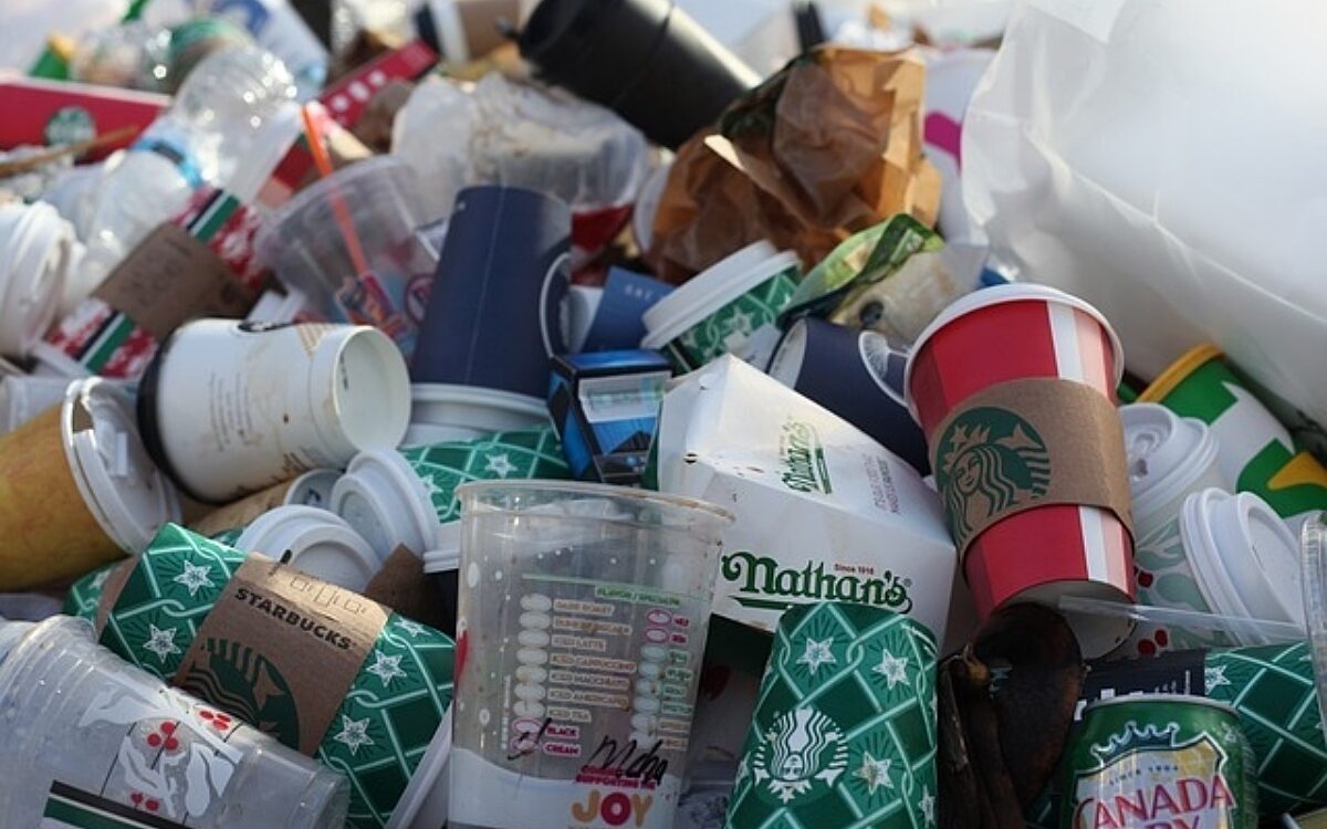 180623 einwegverpackungen 180623 einwegverpackungen