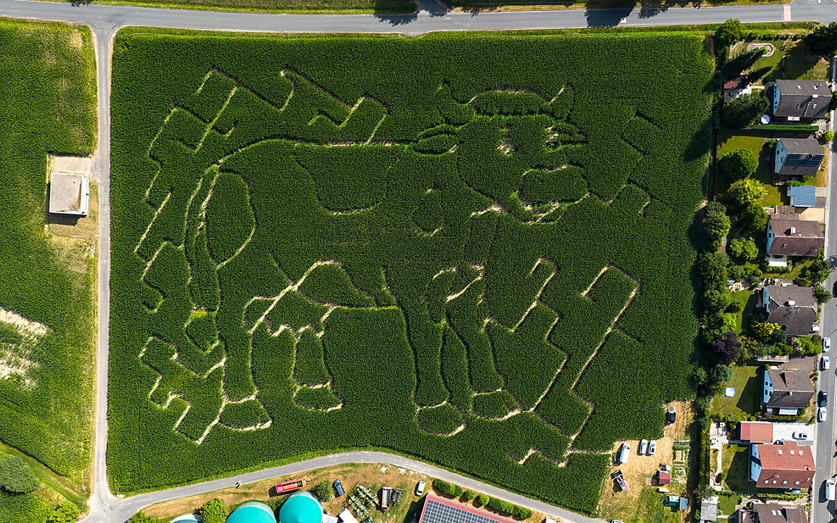 180725 Maislabyrinth 180725 Maislabyrinth