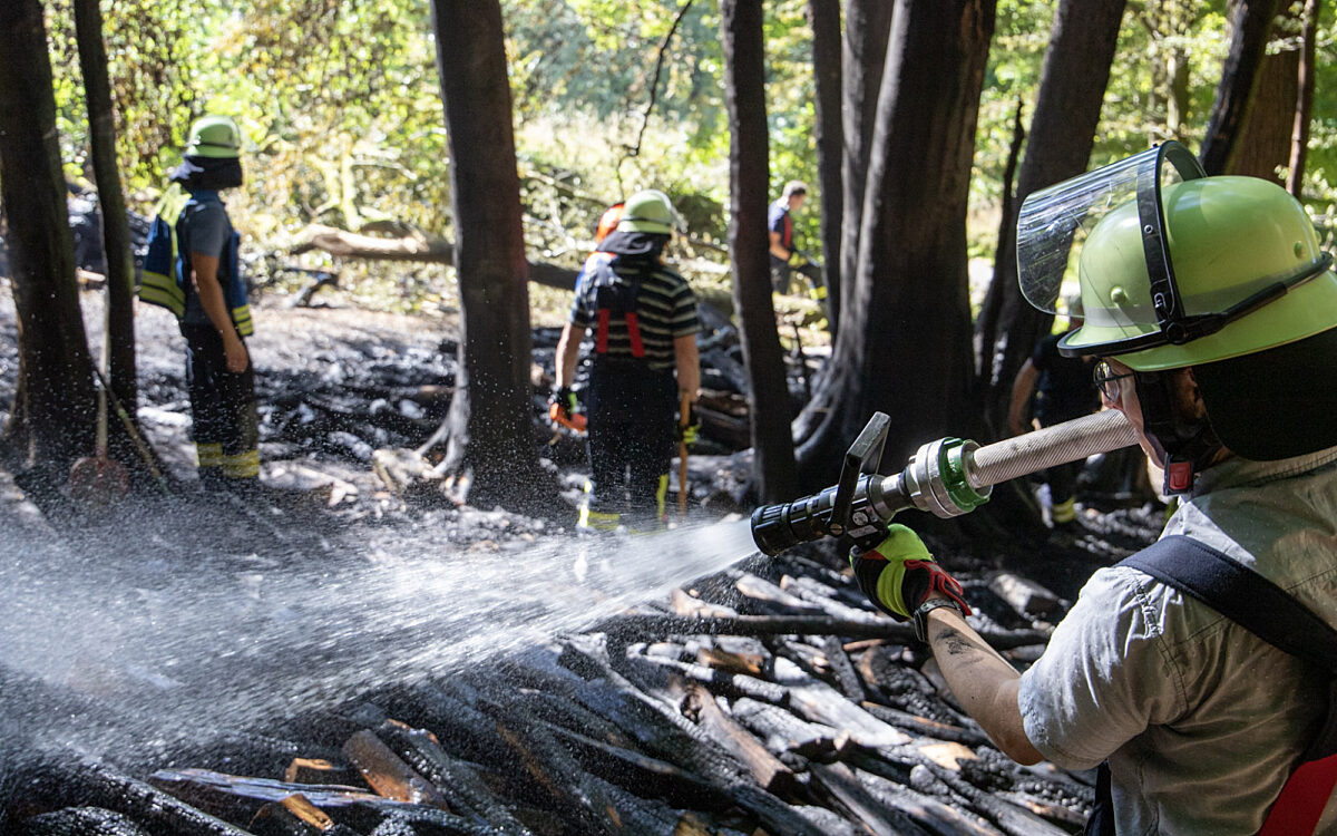 Symbolbild Waldbrand Symbolbild Waldbrand