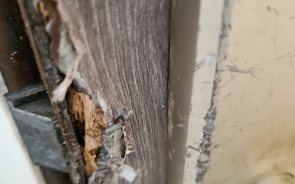 20211109 111904 resized 20211109 111904 resized