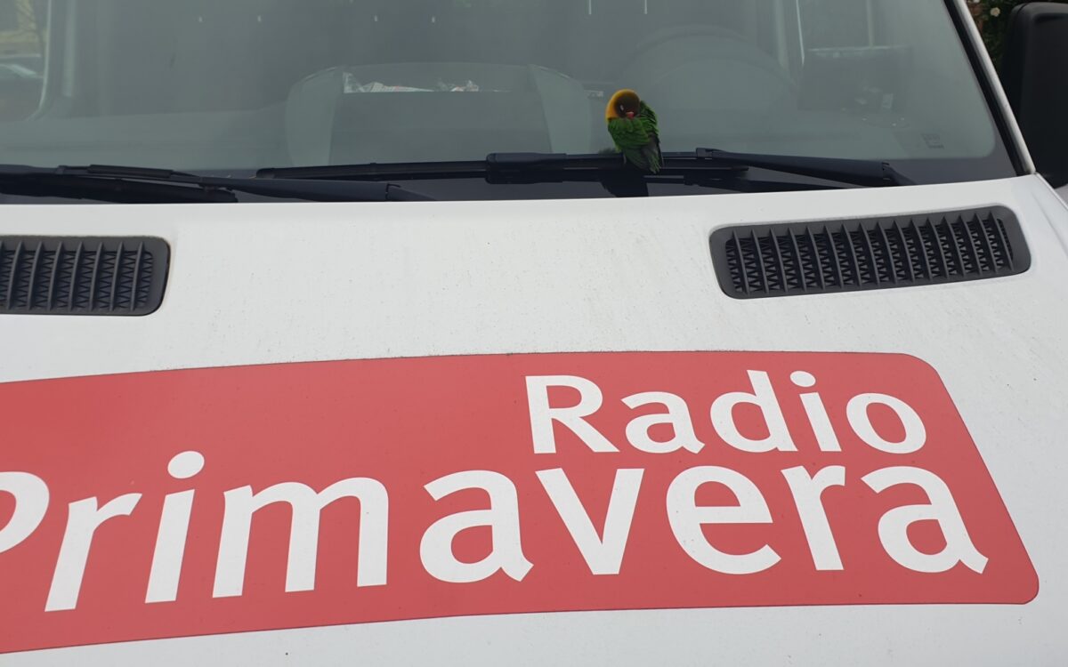 20211116 123010 20211116 123010