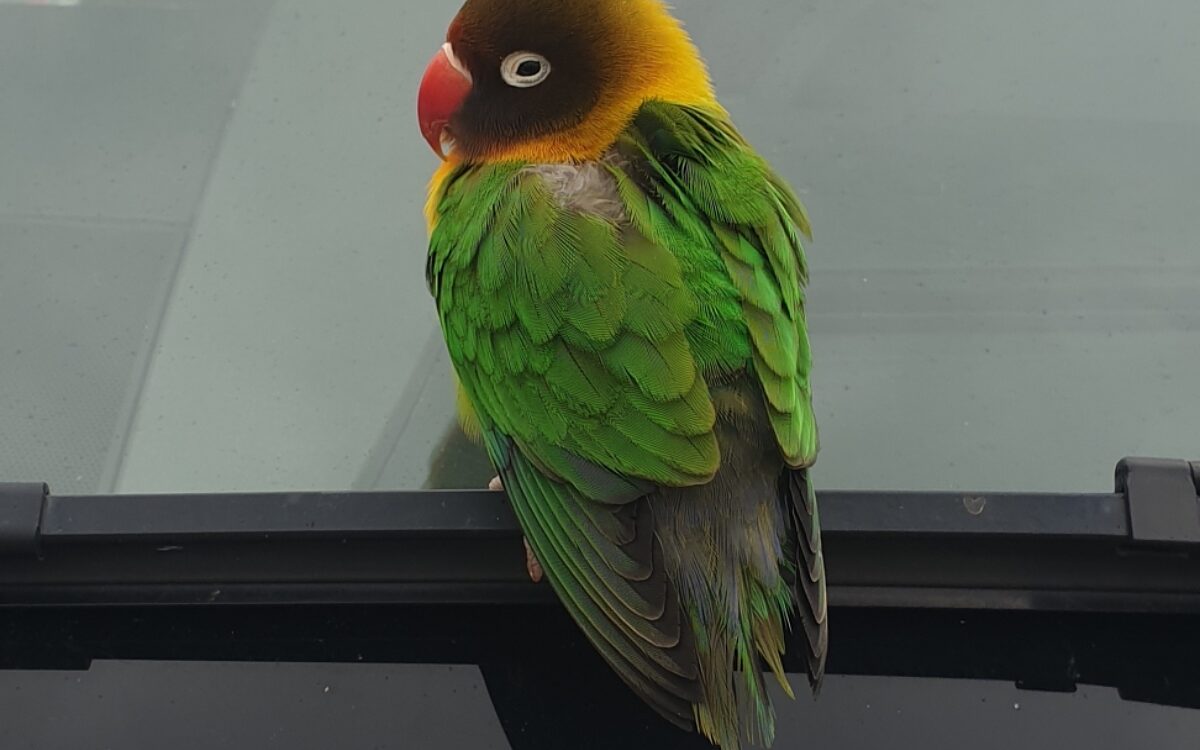 20211116 123018 20211116 123018