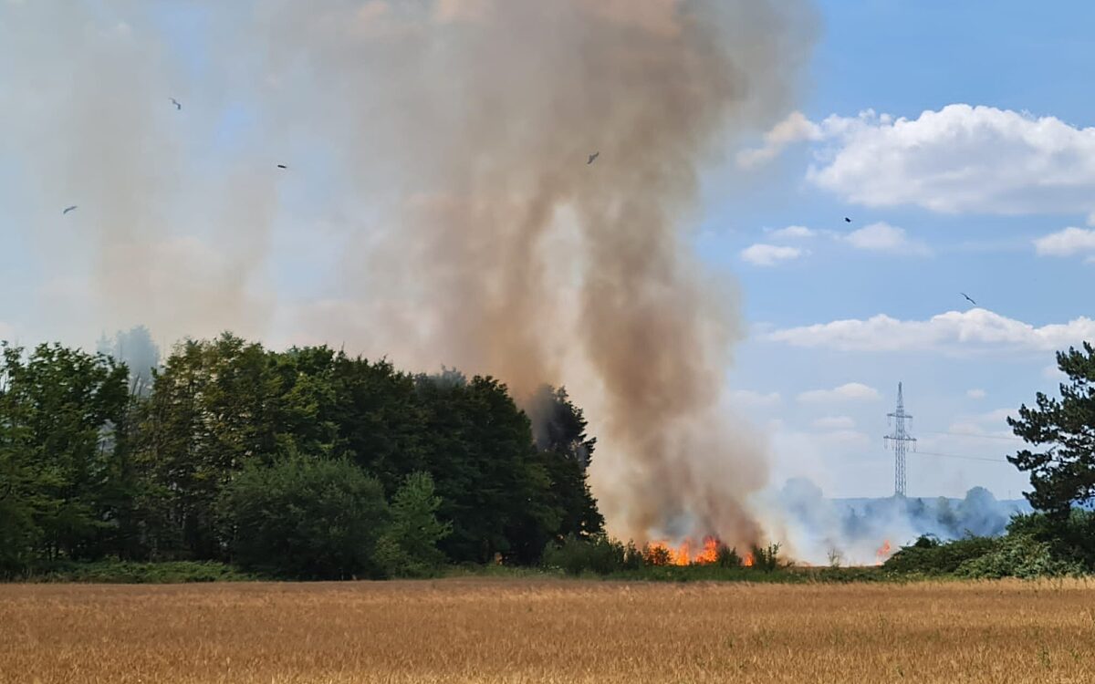 20220706 Waldbrand Grossostheim 20220706 Waldbrand Grossostheim