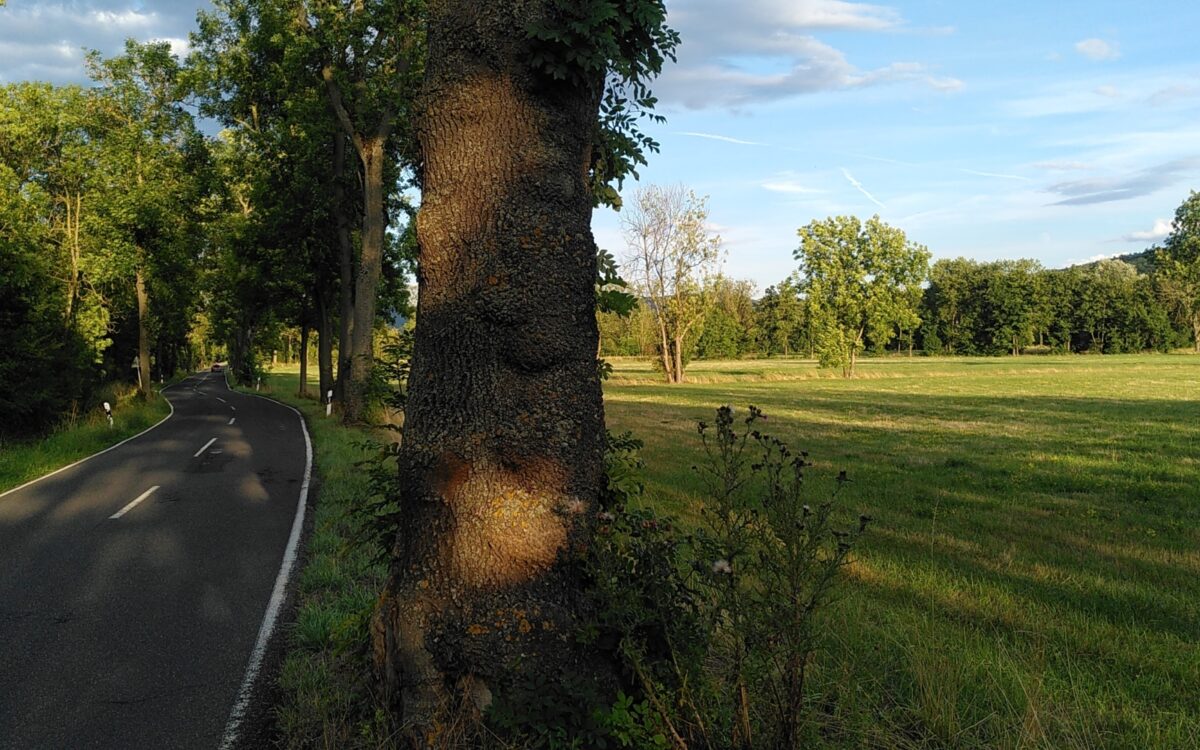 20230731 PM Geplante Omegabruecke Foto1 20230731 PM Geplante Omegabruecke Foto1