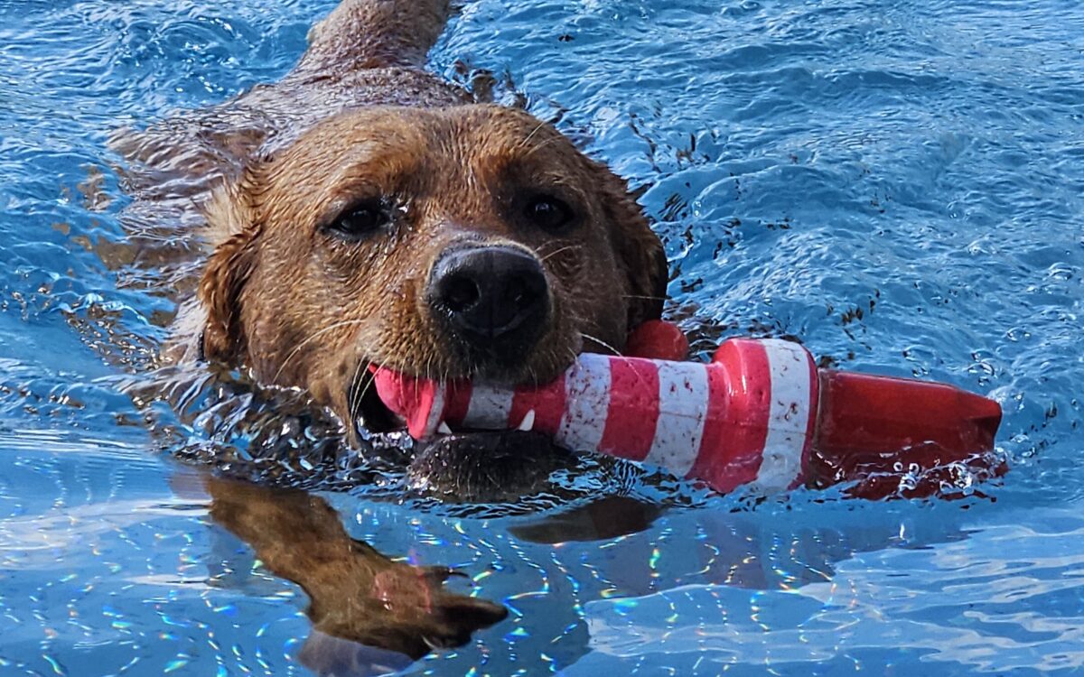 20240915 152521 20240915 152521