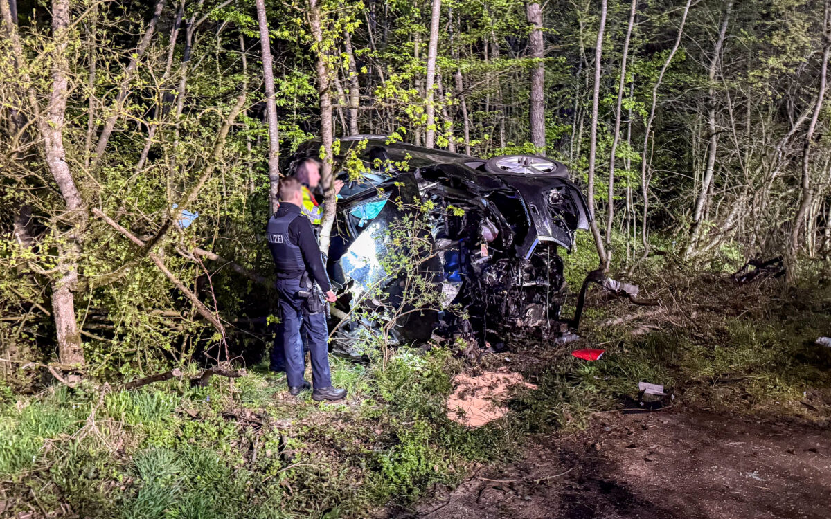 2026 04 07 VU Klemm A66 Erlensee 9