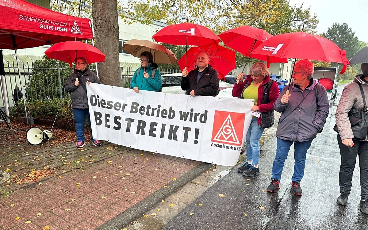 21026 Streik Magna Mirrors 2