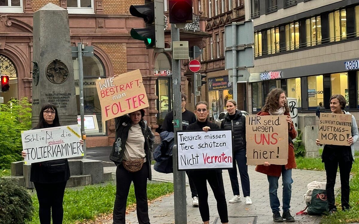 221024 AB Schlachthof Tieraerztinnen vor Gericht 2 221024 AB Schlachthof Tieraerztinnen vor Gericht 2