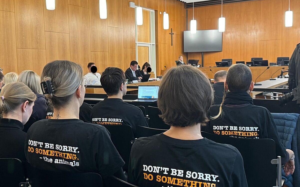 221024 AB Schlachthof Tieraerztinnen vor Gericht 3 221024 AB Schlachthof Tieraerztinnen vor Gericht 3