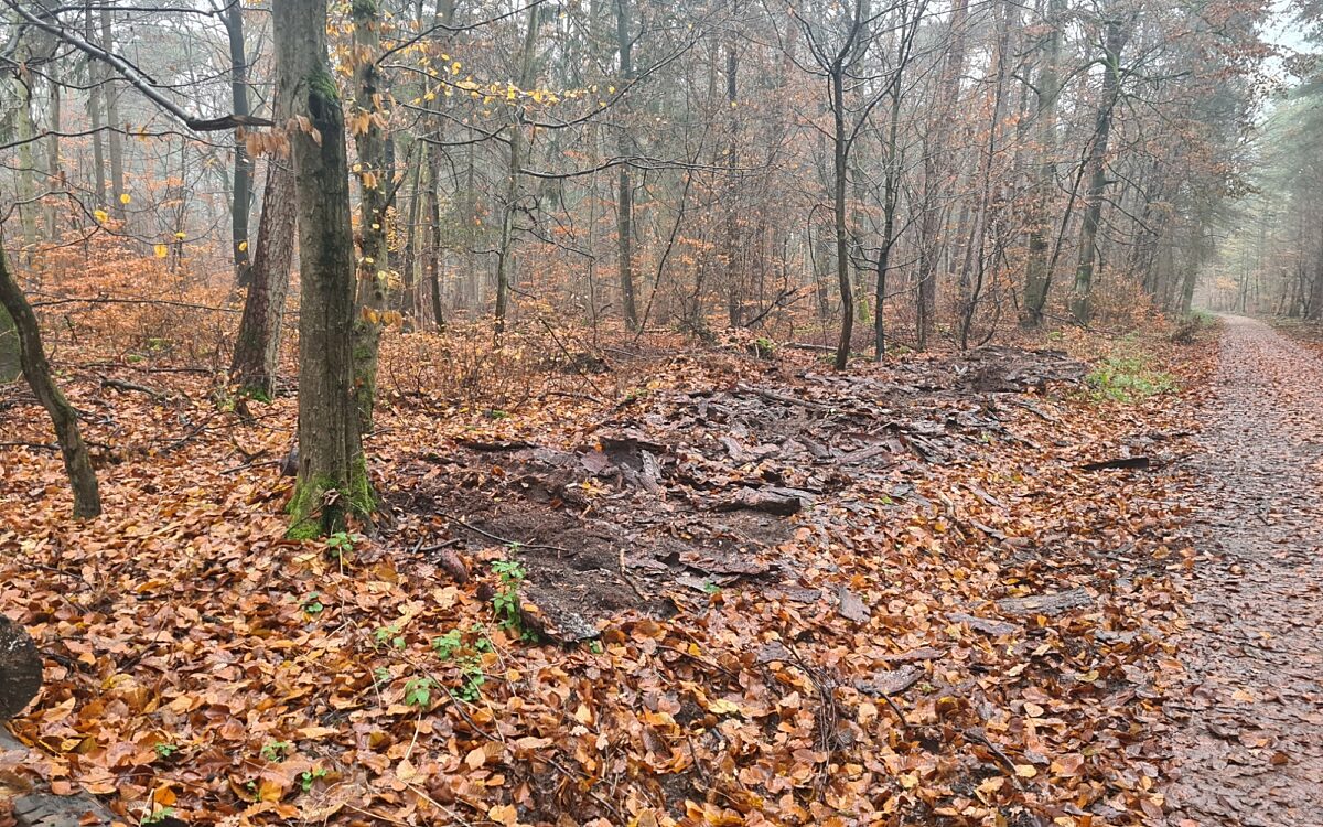 221130 fehlende Holzstaemme 221130 fehlende Holzstaemme