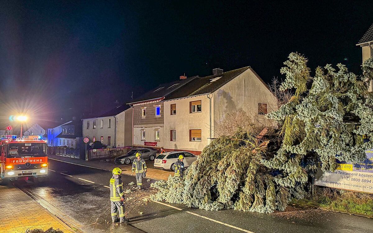 221223 Langenselbold umgestuerzter Baum Sturmnacht Foto Feuerwehr Langenselbold 221223 Langenselbold umgestuerzter Baum Sturmnacht Foto Feuerwehr Langenselbold