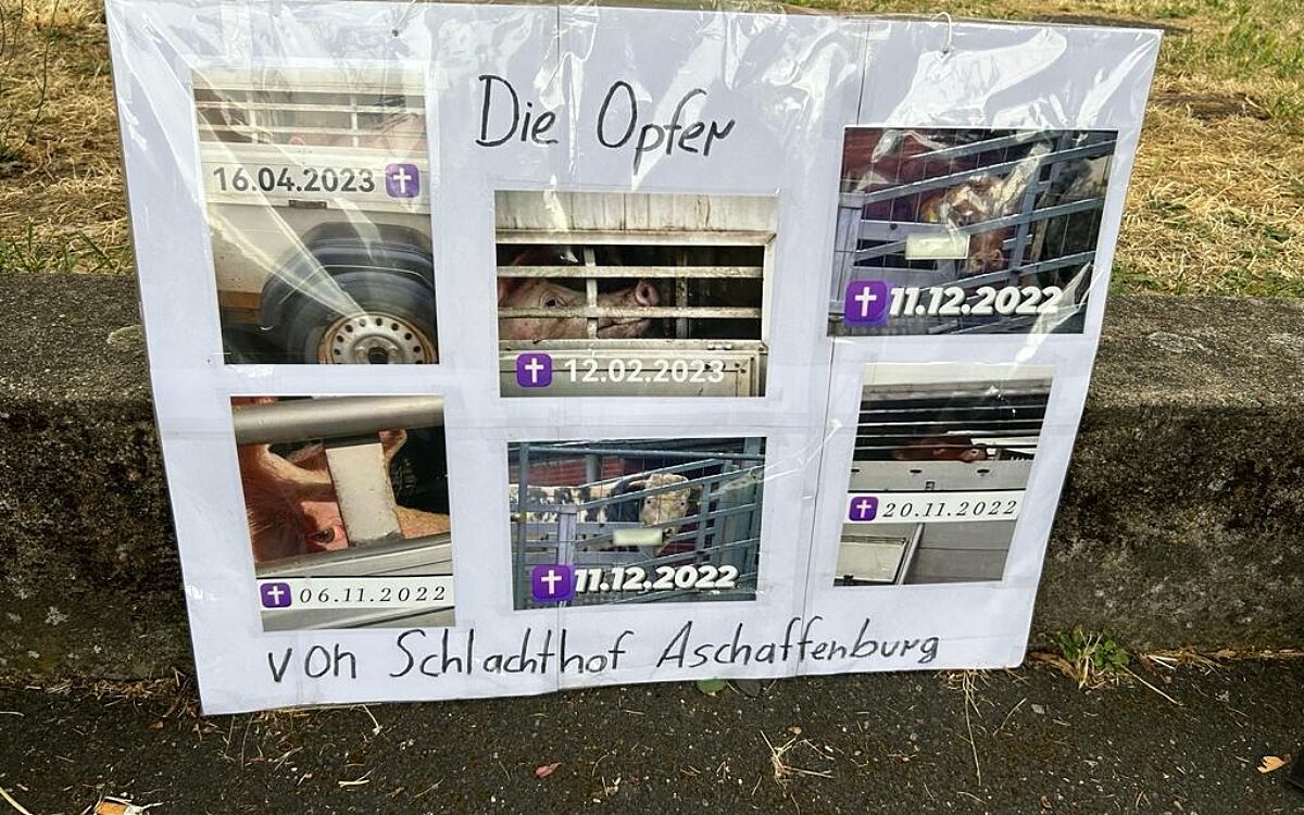 230723 Schlachthof 1 230723 Schlachthof 1