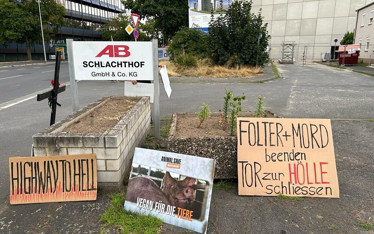 230723 Schlachthof 2 230723 Schlachthof 2