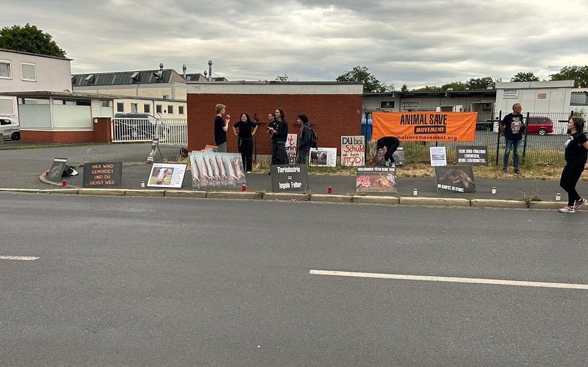 230723 Schlachthof 3 230723 Schlachthof 3