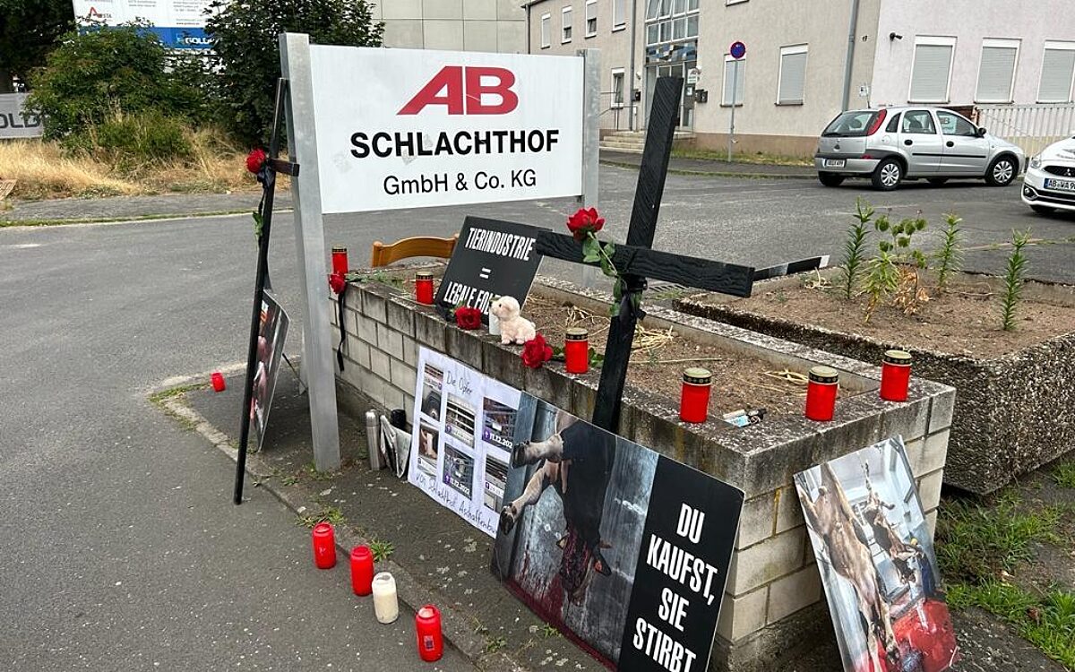 230723 Schlachthof 4 230723 Schlachthof 4