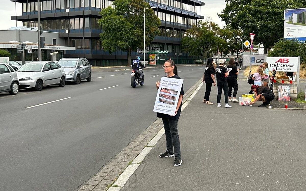 230723 Schlachthof 5 230723 Schlachthof 5