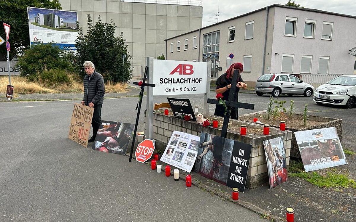 230723 Schlachthof 8 230723 Schlachthof 8