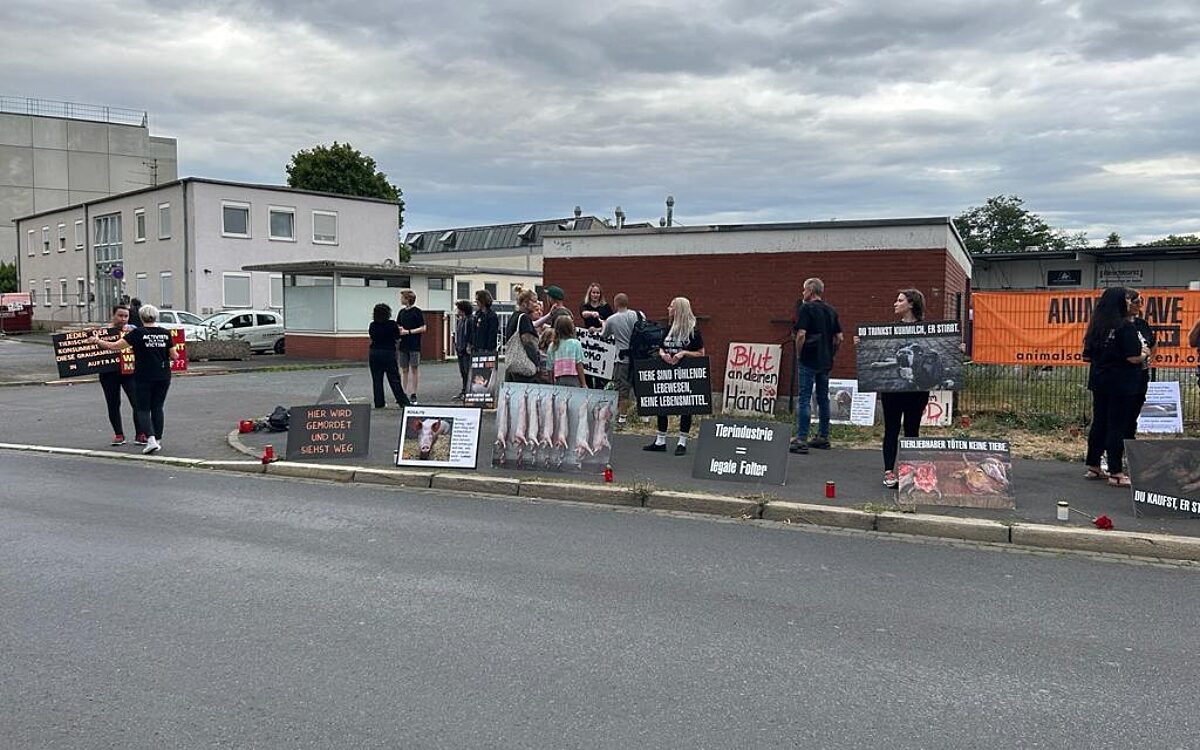 230723 Schlachthof 9 230723 Schlachthof 9