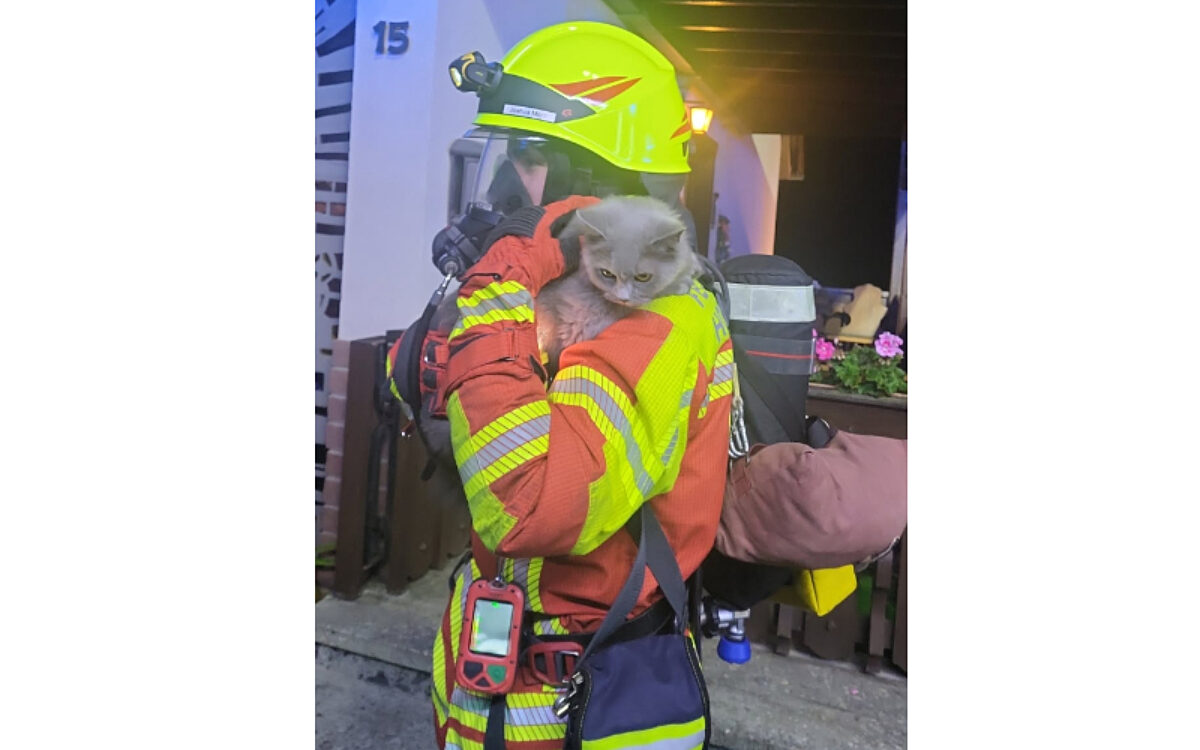 231026 Heigenbruecken Katze gerettet