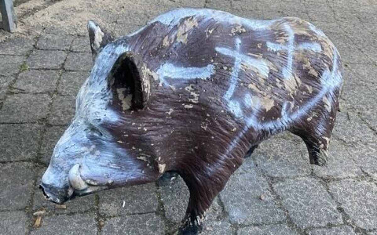 240624 Rodgau Plastikschwein 240624 Rodgau Plastikschwein