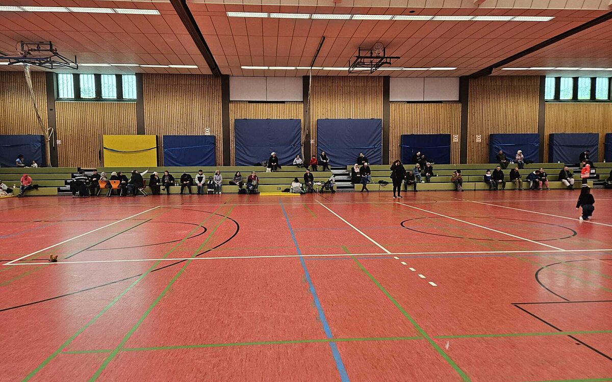 250224 HU Bombenentschaerfung 1 250224 HU Bombenentschaerfung 1