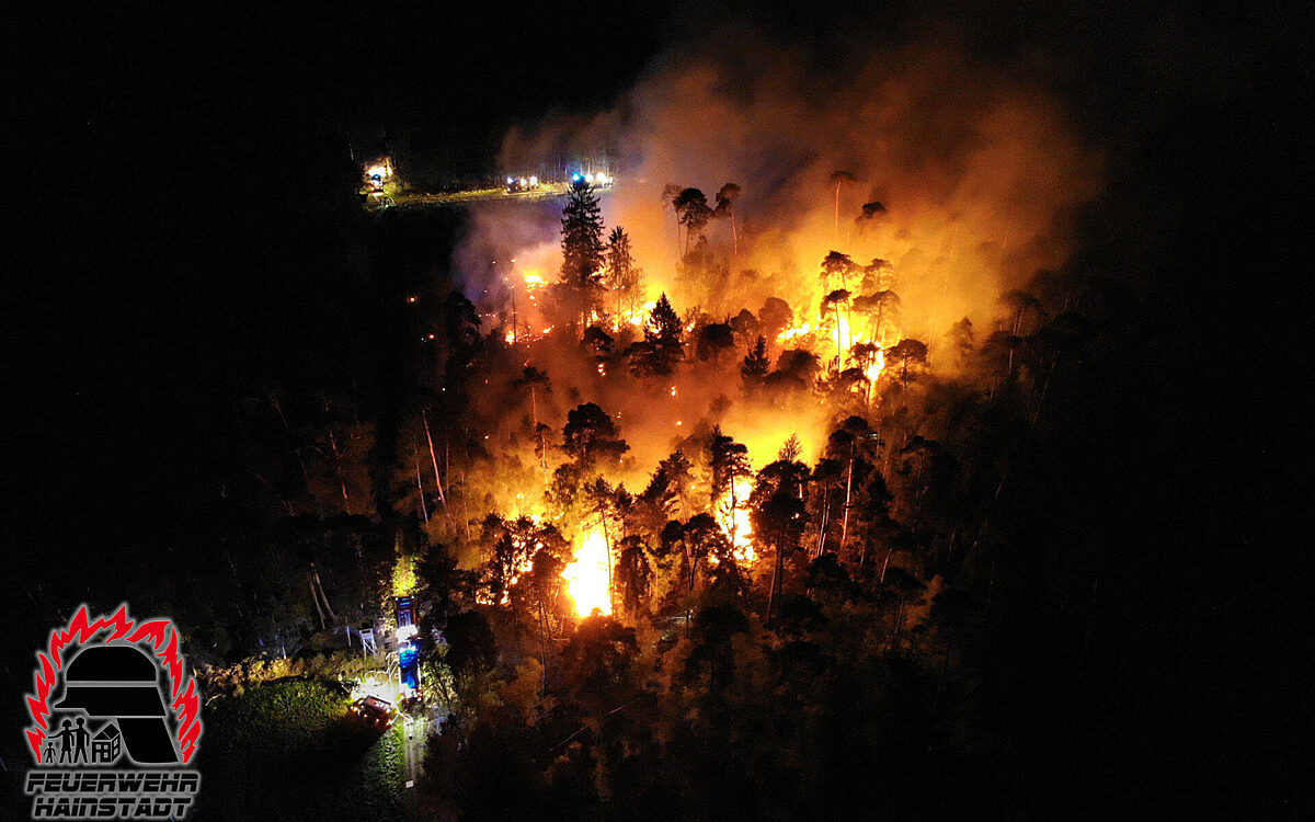 250422 FFW Hainburg Waldbrand 250422 FFW Hainburg Waldbrand