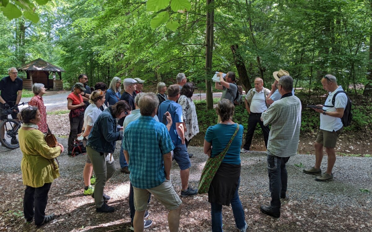 270522 Gruene Windraeder Freigericht 270522 Gruene Windraeder Freigericht