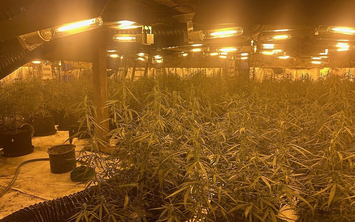 271023 Ronneburg Cannabis Pantage hochgenommen Quelle Polizei Suedosthessen 271023 Ronneburg Cannabis Pantage hochgenommen Quelle Polizei Suedosthessen