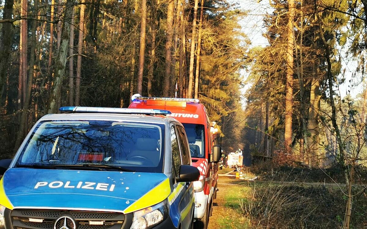 280322 hainburg waldbrand 2 280322 hainburg waldbrand 2