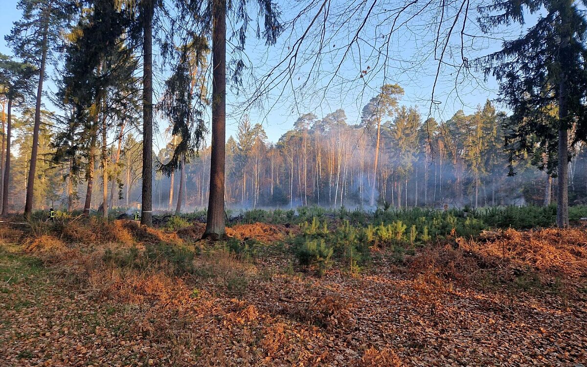 280322 hainburg waldbrand 280322 hainburg waldbrand