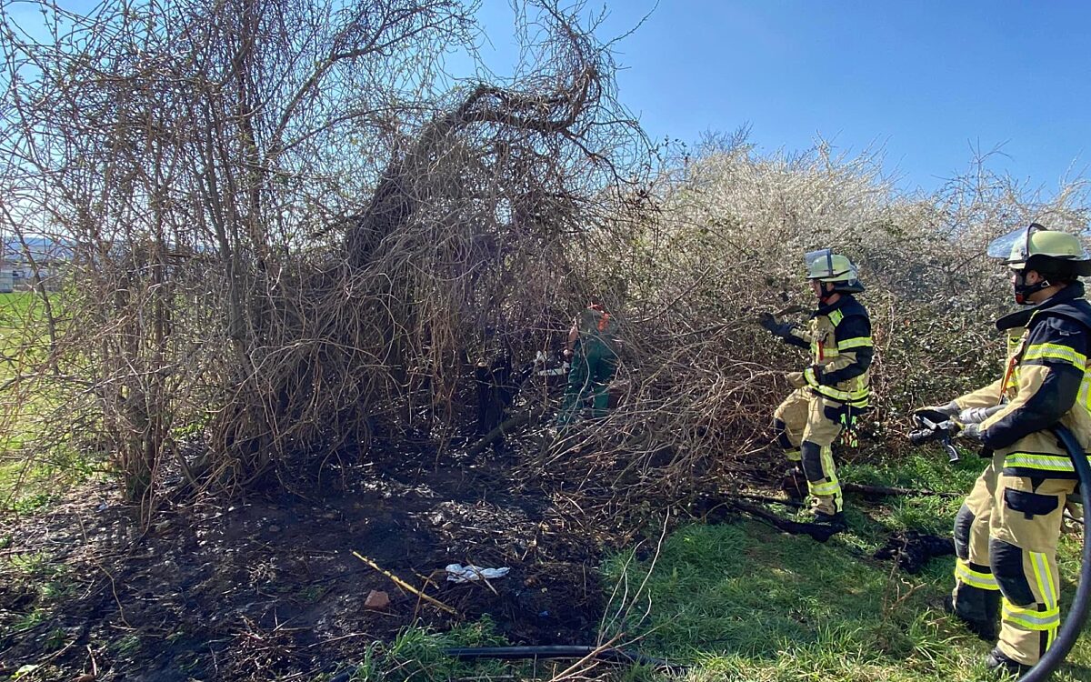 280322 woerth waldbrand 2 280322 woerth waldbrand 2