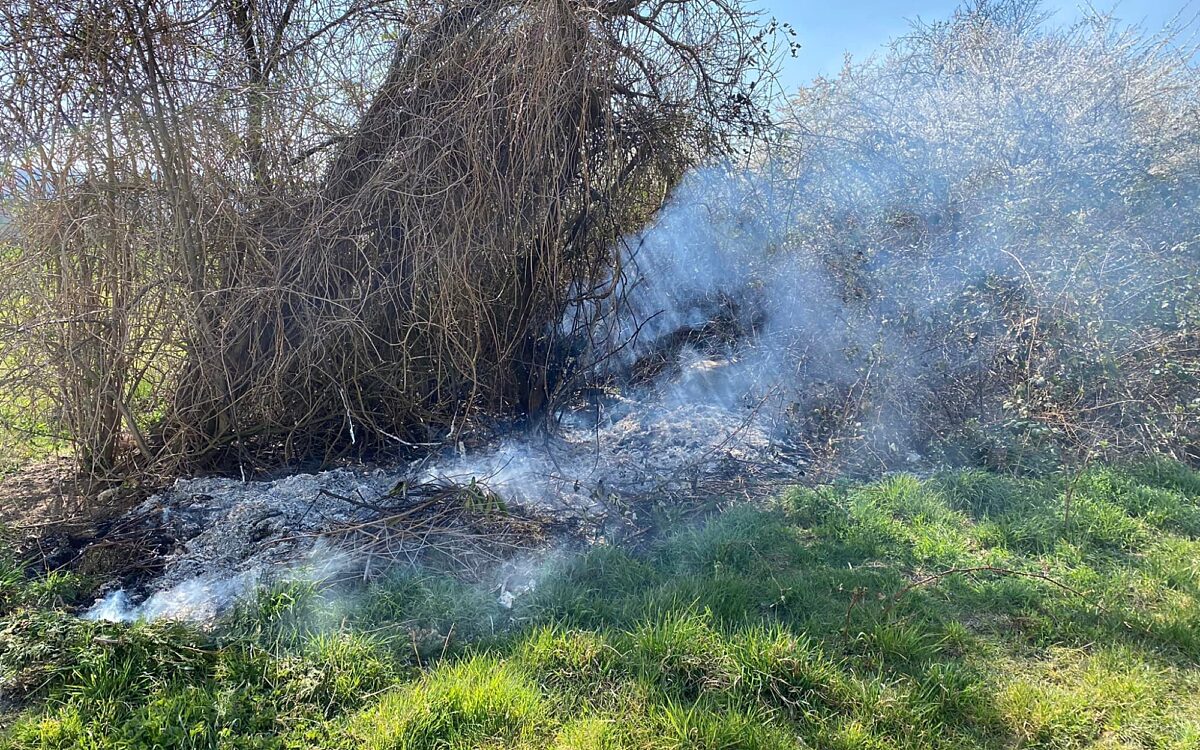 280322 woerth waldbrand 280322 woerth waldbrand